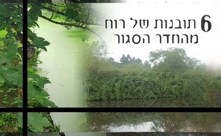 6 הרהורים ויזואליים של רוח בימי קורונה
