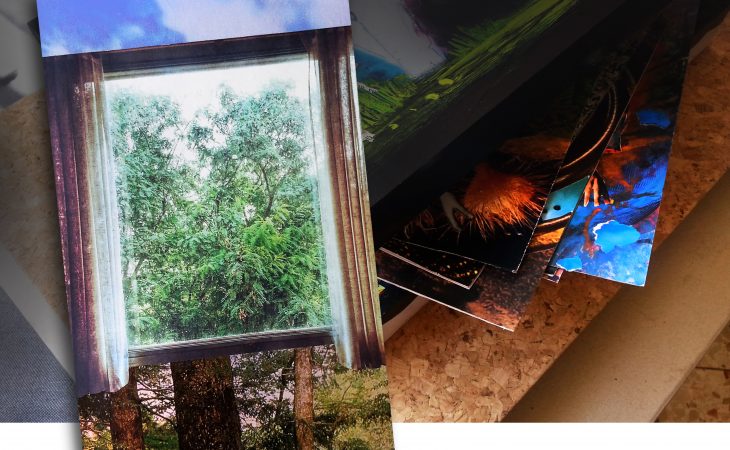 אמור לי מי חבריך